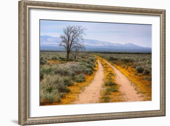 Wildflower Road, Central California-Vincent James-Framed Photographic Print