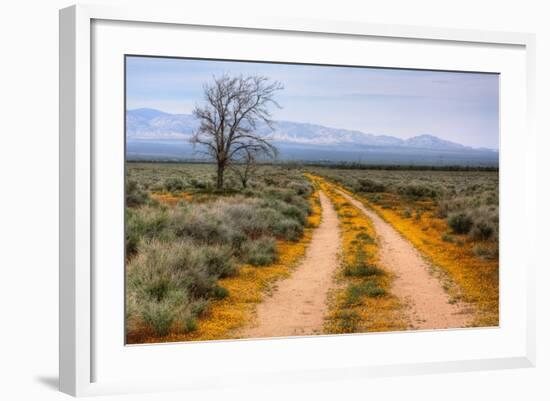 Wildflower Road, Central California-Vincent James-Framed Photographic Print