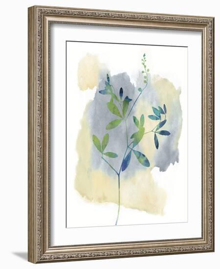 Wildflower Symphony-Tania Bello-Framed Giclee Print