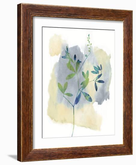 Wildflower Symphony-Tania Bello-Framed Giclee Print