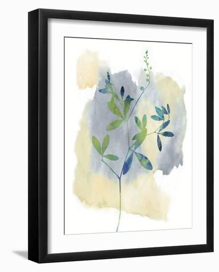 Wildflower Symphony-Tania Bello-Framed Giclee Print