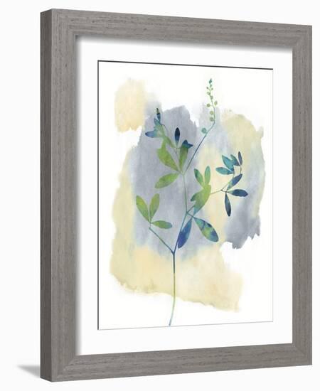 Wildflower Symphony-Tania Bello-Framed Giclee Print