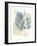 Wildflower Symphony-Tania Bello-Framed Giclee Print