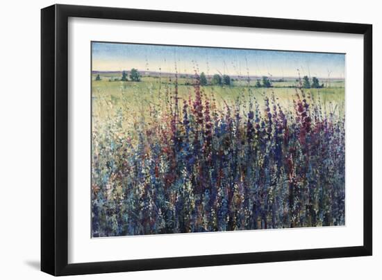 Wildflower Trail-Tim O'toole-Framed Giclee Print