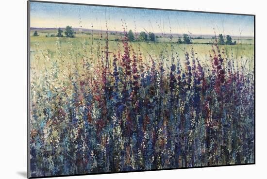 Wildflower Trail-Tim O'toole-Mounted Giclee Print