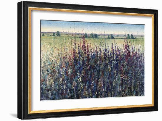 Wildflower Trail-Tim O'toole-Framed Giclee Print