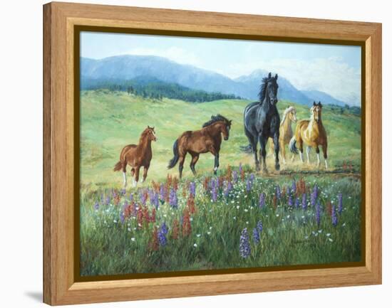 Wildflower Trail-Claire Goldrick-Framed Stretched Canvas