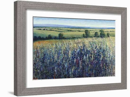 Wildflower Vista-Tim O'toole-Framed Giclee Print