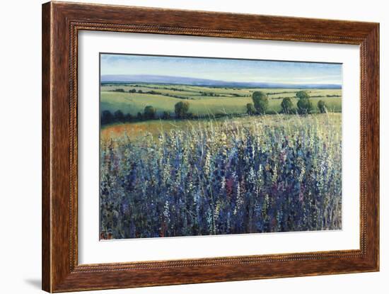 Wildflower Vista-Tim O'toole-Framed Giclee Print