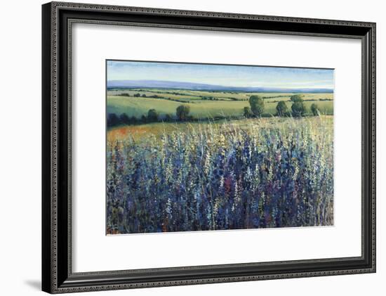 Wildflower Vista-Tim O'toole-Framed Giclee Print