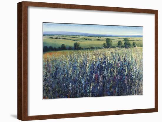 Wildflower Vista-Tim O'toole-Framed Giclee Print