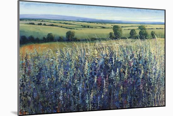 Wildflower Vista-Tim O'toole-Mounted Giclee Print