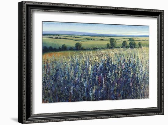 Wildflower Vista-Tim O'toole-Framed Giclee Print