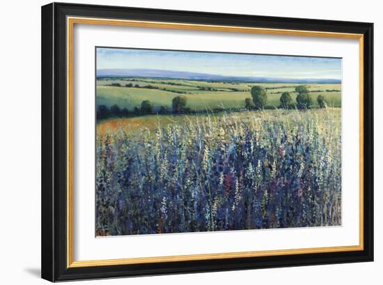 Wildflower Vista-Tim O'toole-Framed Giclee Print