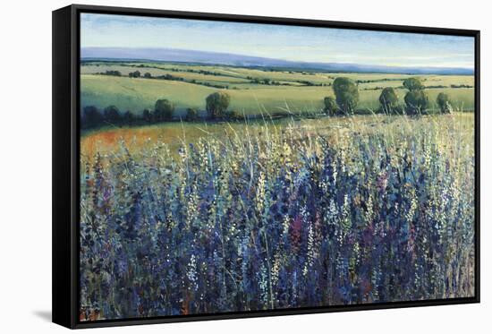 Wildflower Vista-Tim O'toole-Framed Premier Image Canvas