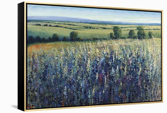 Wildflower Vista-Tim O'toole-Framed Premier Image Canvas