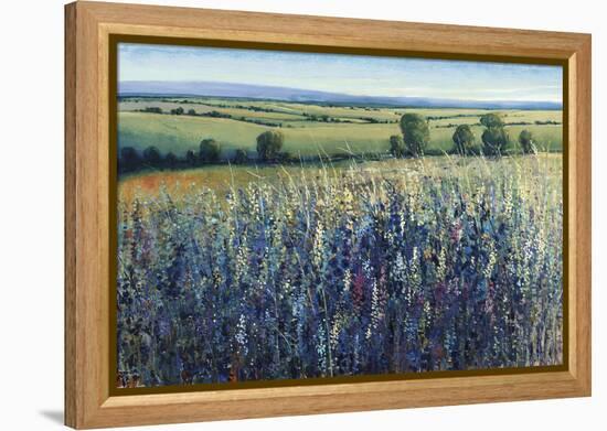 Wildflower Vista-Tim O'toole-Framed Premier Image Canvas