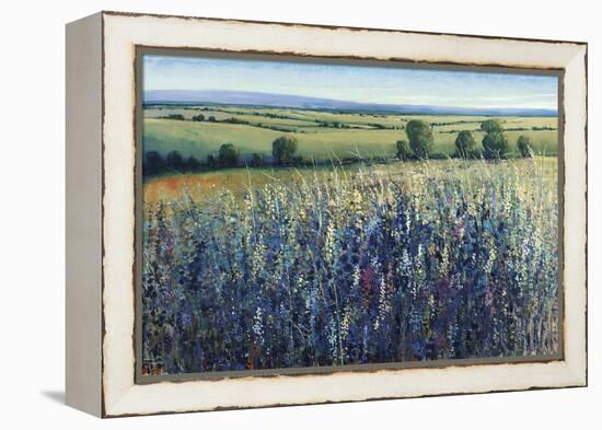 Wildflower Vista-Tim O'toole-Framed Premier Image Canvas