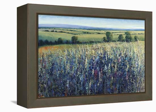 Wildflower Vista-Tim O'toole-Framed Premier Image Canvas