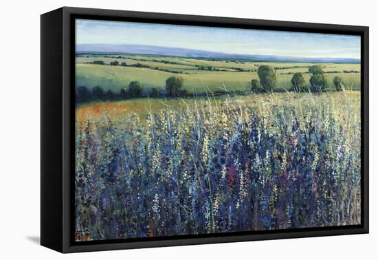 Wildflower Vista-Tim O'toole-Framed Premier Image Canvas