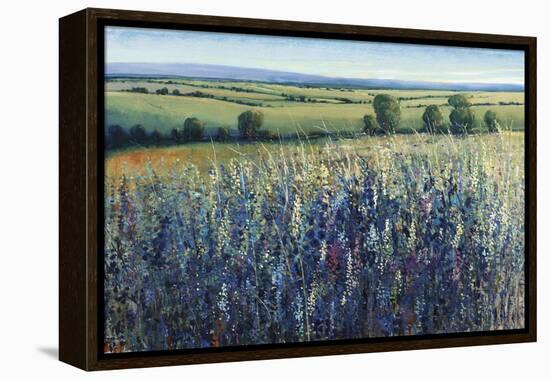 Wildflower Vista-Tim O'toole-Framed Premier Image Canvas