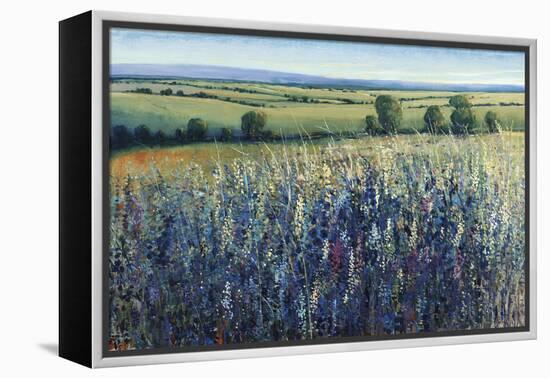 Wildflower Vista-Tim O'toole-Framed Premier Image Canvas