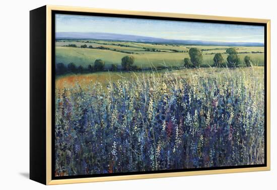 Wildflower Vista-Tim O'toole-Framed Premier Image Canvas