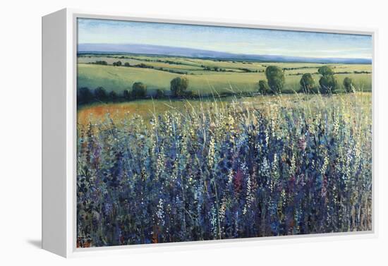 Wildflower Vista-Tim O'toole-Framed Premier Image Canvas