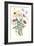 Wildflower Watercolor I-Grace Popp-Framed Art Print