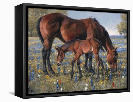 Wildflower-Jack Sorenson-Framed Stretched Canvas