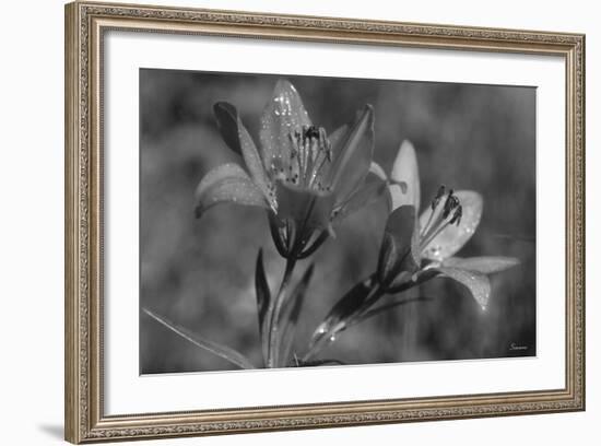 Wildflowers 3-Gordon Semmens-Framed Photographic Print