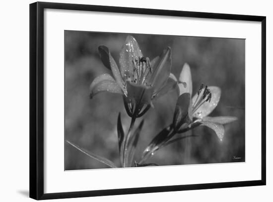 Wildflowers 3-Gordon Semmens-Framed Photographic Print