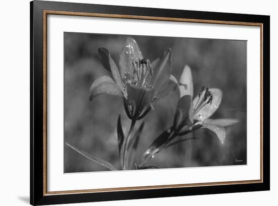 Wildflowers 3-Gordon Semmens-Framed Photographic Print