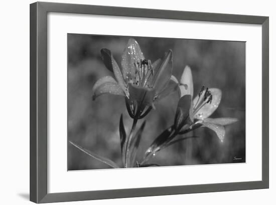 Wildflowers 3-Gordon Semmens-Framed Photographic Print