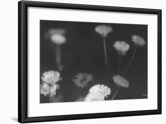 Wildflowers 4-Gordon Semmens-Framed Photographic Print