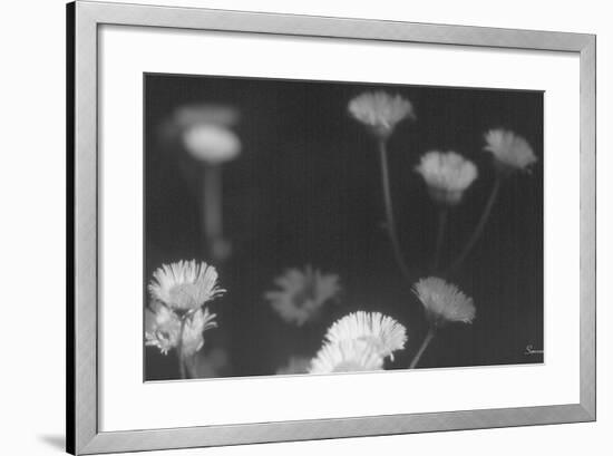 Wildflowers 4-Gordon Semmens-Framed Photographic Print