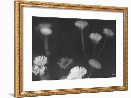 Wildflowers 4-Gordon Semmens-Framed Photographic Print