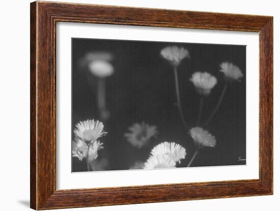 Wildflowers 4-Gordon Semmens-Framed Photographic Print