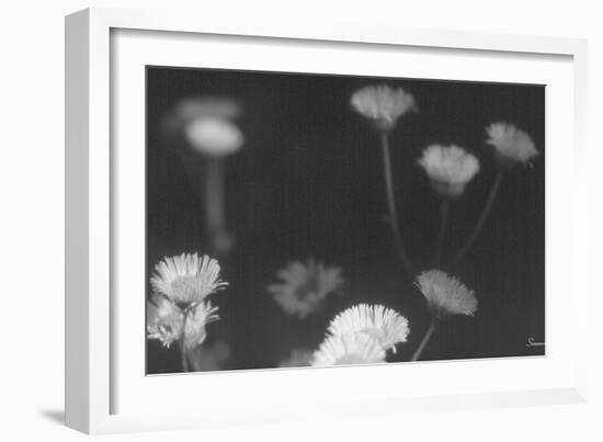 Wildflowers 4-Gordon Semmens-Framed Photographic Print