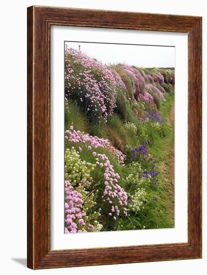 Wildflowers Along a Coastal Bank-Dr. Keith Wheeler-Framed Photographic Print