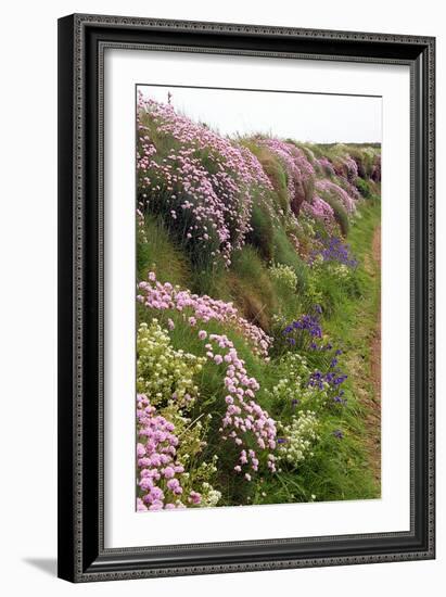 Wildflowers Along a Coastal Bank-Dr. Keith Wheeler-Framed Photographic Print