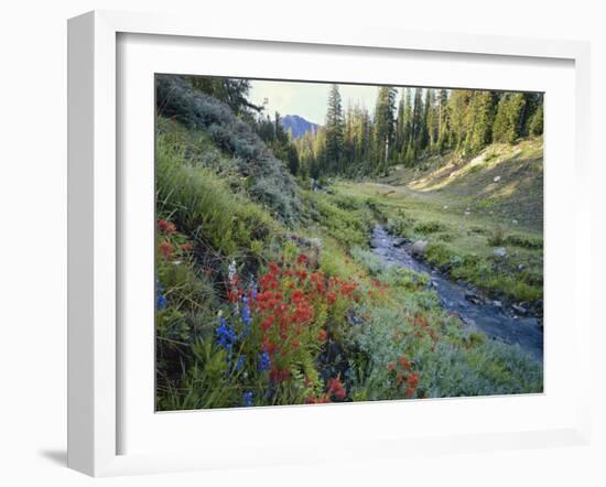 Wildflowers Along Chamberlain Creek, White Cloud Peaks, Sawtooth National Reservation Area, Idaho-Scott T^ Smith-Framed Photographic Print