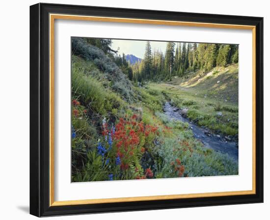 Wildflowers Along Chamberlain Creek, White Cloud Peaks, Sawtooth National Reservation Area, Idaho-Scott T^ Smith-Framed Photographic Print