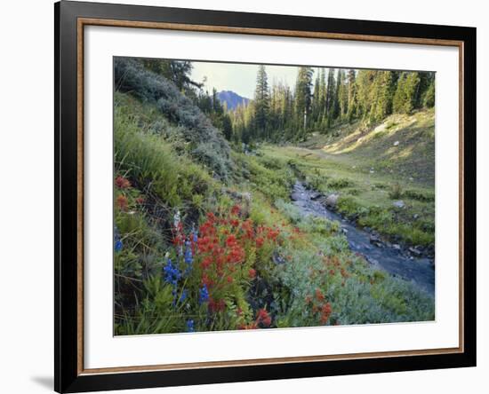 Wildflowers Along Chamberlain Creek, White Cloud Peaks, Sawtooth National Reservation Area, Idaho-Scott T^ Smith-Framed Photographic Print