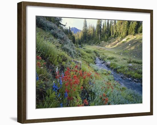 Wildflowers Along Chamberlain Creek, White Cloud Peaks, Sawtooth National Reservation Area, Idaho-Scott T^ Smith-Framed Photographic Print