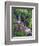 Wildflowers Along Flowing Stream in an Alpine Meadow, Rocky Mountains, Colorado, USA-Christopher Talbot Frank-Framed Photographic Print