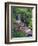 Wildflowers Along Flowing Stream in an Alpine Meadow, Rocky Mountains, Colorado, USA-Christopher Talbot Frank-Framed Photographic Print