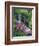 Wildflowers Along Flowing Stream in an Alpine Meadow, Rocky Mountains, Colorado, USA-Christopher Talbot Frank-Framed Photographic Print