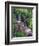 Wildflowers Along Flowing Stream in an Alpine Meadow, Rocky Mountains, Colorado, USA-Christopher Talbot Frank-Framed Photographic Print