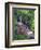 Wildflowers Along Flowing Stream in an Alpine Meadow, Rocky Mountains, Colorado, USA-Christopher Talbot Frank-Framed Photographic Print